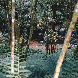 Alojamento de Turismo Selvagem Eagle Hill, Aguas Mornas